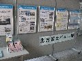 堺市庁舎でのパネル展の様子を写真で紹介しています。